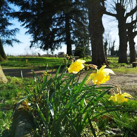 Chateau Cantelaube Saint-Emilion Bagian luar foto