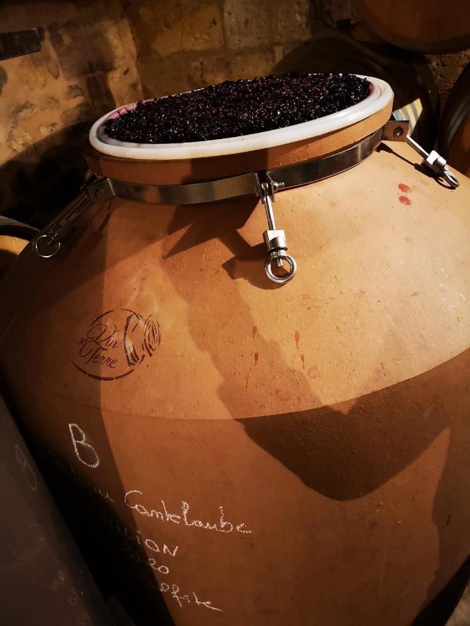 Chateau Cantelaube Saint-Emilion Bagian luar foto