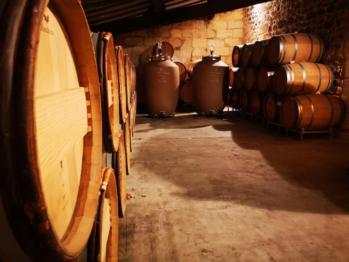 Chateau Cantelaube Saint-Emilion Bagian luar foto