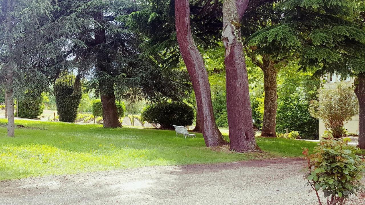 Chateau Cantelaube Saint-Emilion Bagian luar foto