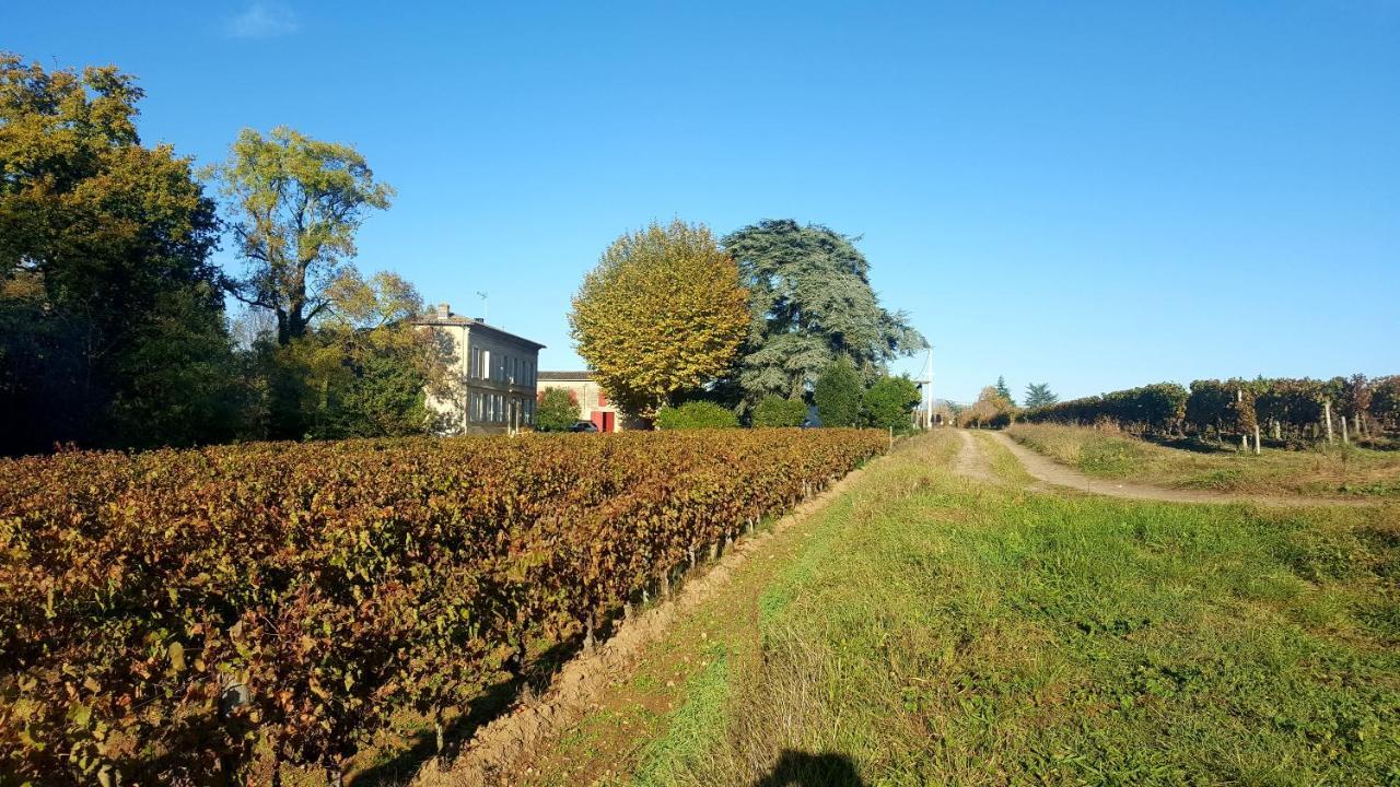 Chateau Cantelaube Saint-Emilion Bagian luar foto